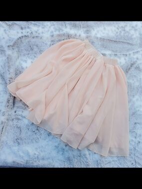Bailey's Blossoms Blush Chiffon Skirt 3T